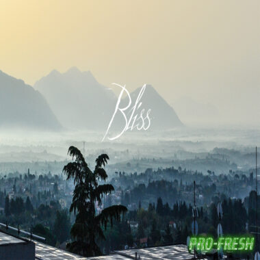 Bliss